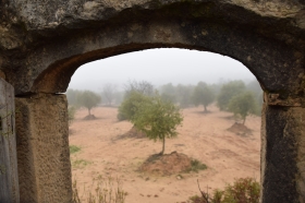 HISTÒRIA - OLI I EXPERIÈNCIES AL VOLTANT  DE LA PEDRA SECA Torrebesses